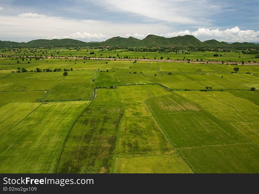 Green field with bird eyes view. Green field with bird eyes view