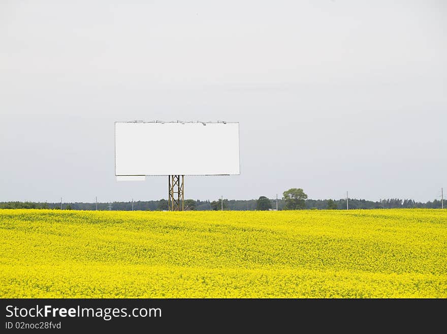 Sign on yellow rapeseed field. Sign on yellow rapeseed field