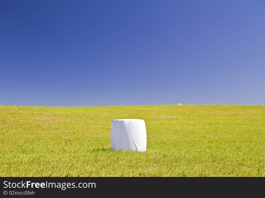 Green field, hay, blue sky