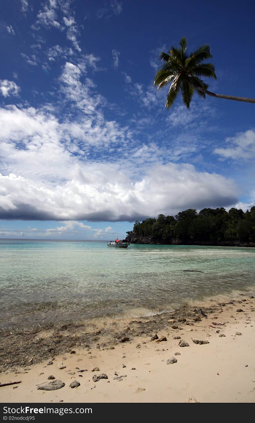 Beautiful beach with palm trees on the Togean Islands in Indonesia