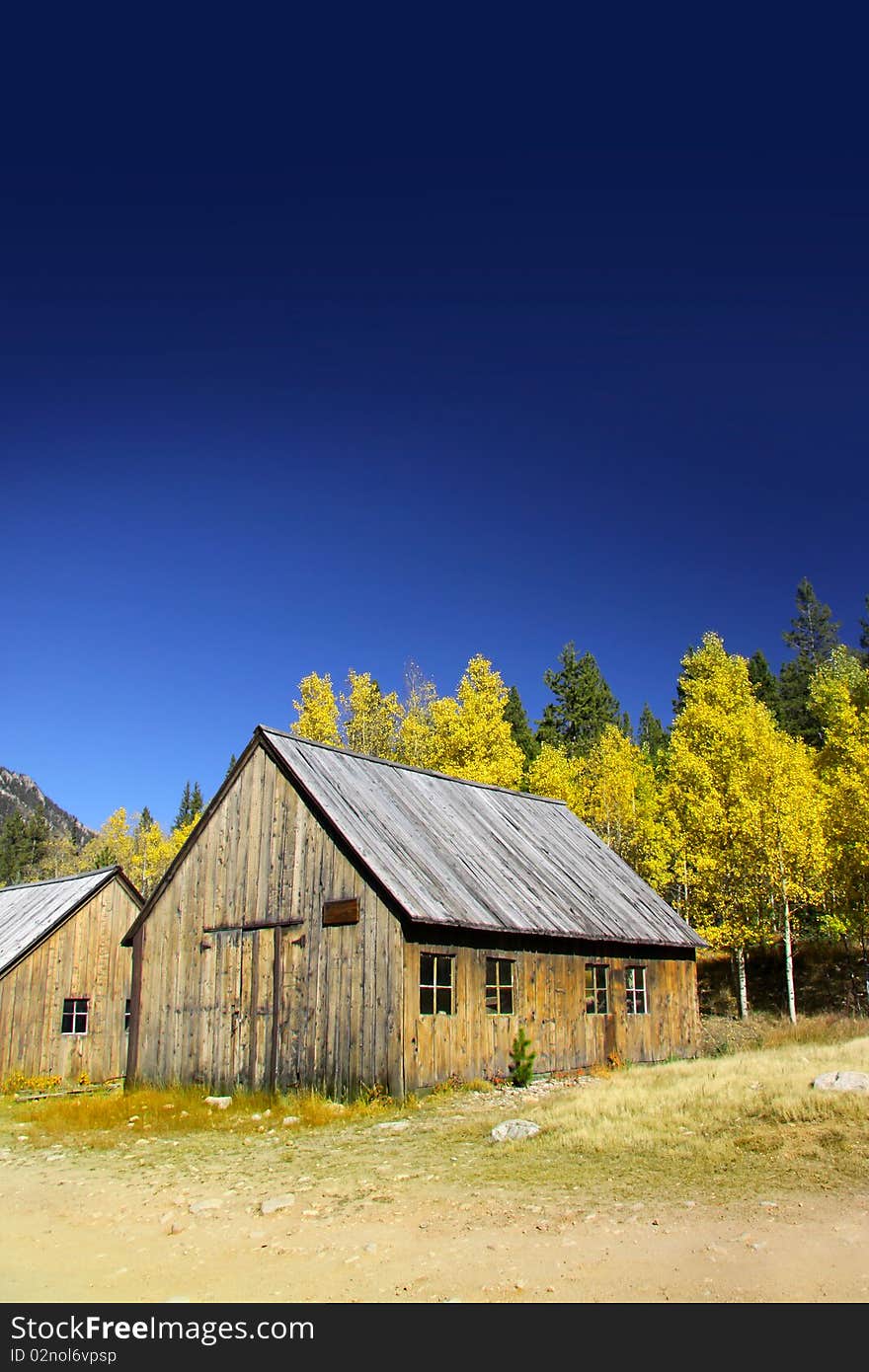 Autumn Landscape In Colorado