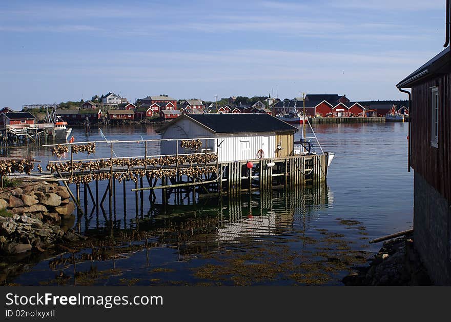 Fisherman s houses on Lofoten