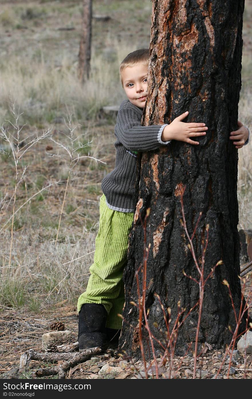 Little boy in woods hugging a big tree trunk