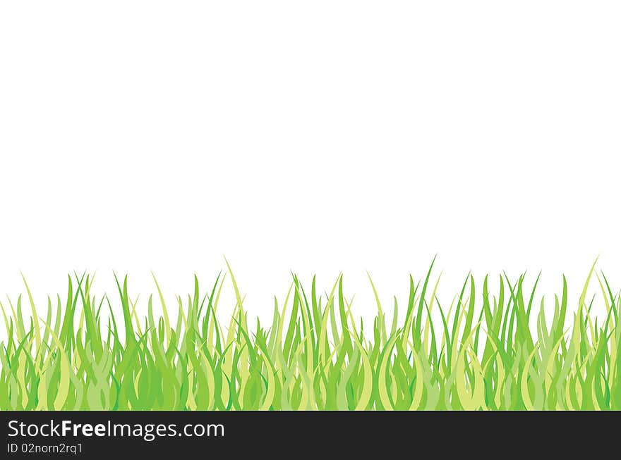 Green Grass Isolated on White