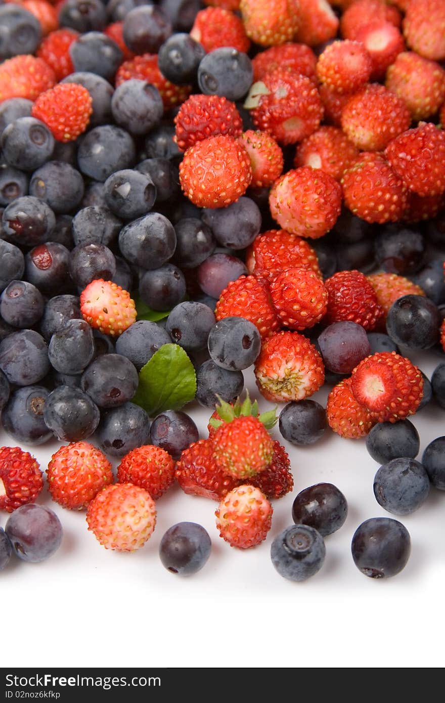 Wild strawberries and blueberries