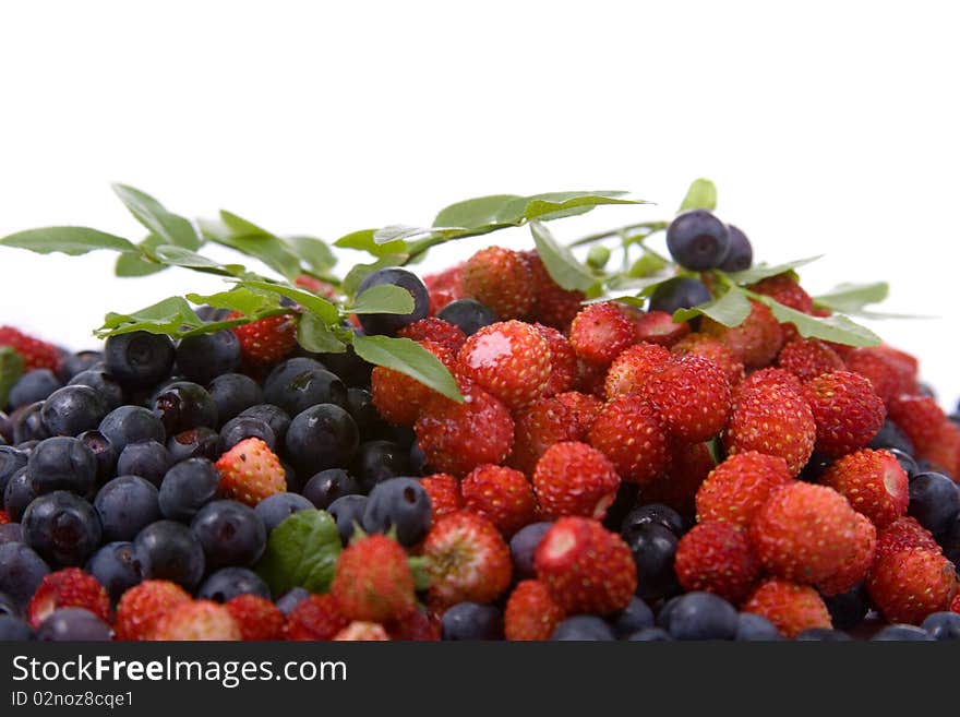 Wild Strawberries And Blueberries