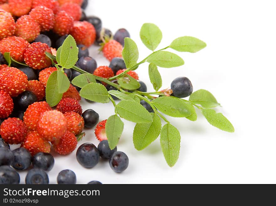 Wild Strawberries And Blueberries