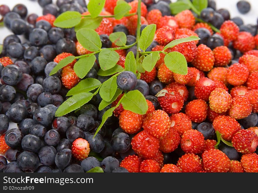 Wild strawberries and blueberries