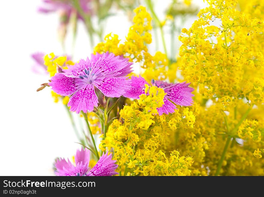 Beautiful Bouquet Of Wild Flowers