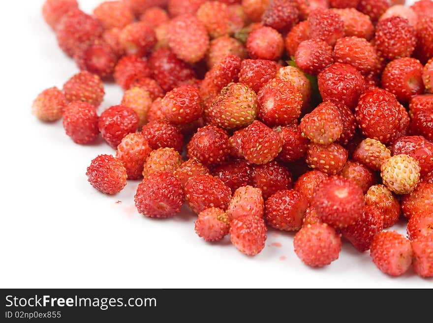 Wild strawberry isolated on white background