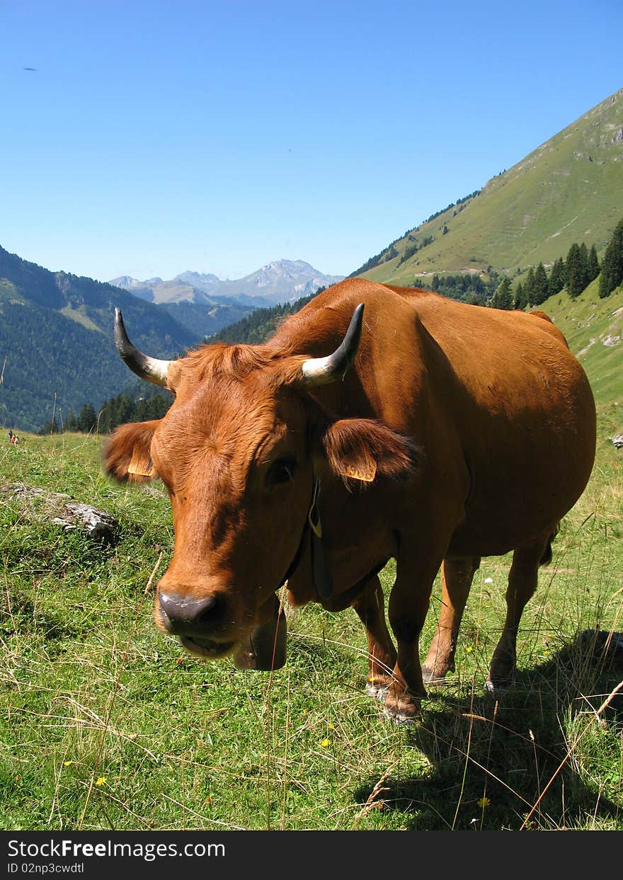 Site of the collar of neck, France