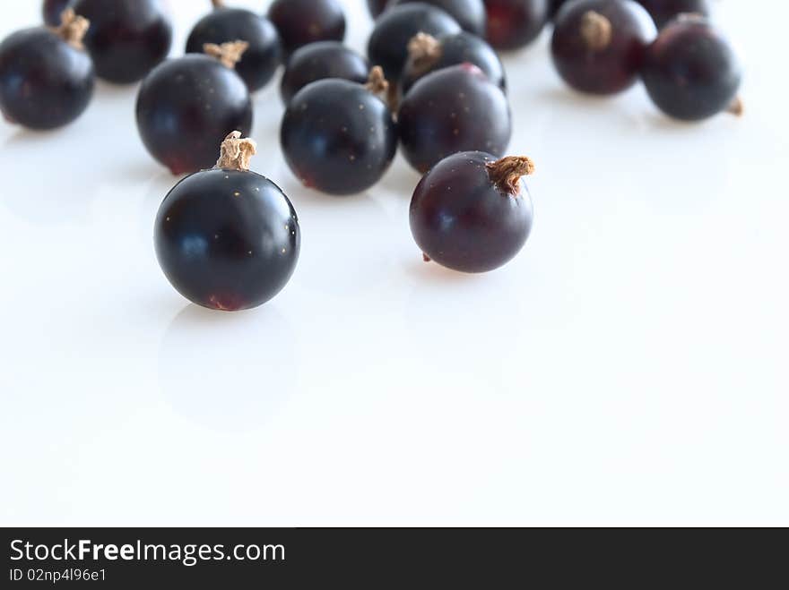 Berries, black currant, close-up, resting upon light background, copy space. Berries, black currant, close-up, resting upon light background, copy space.