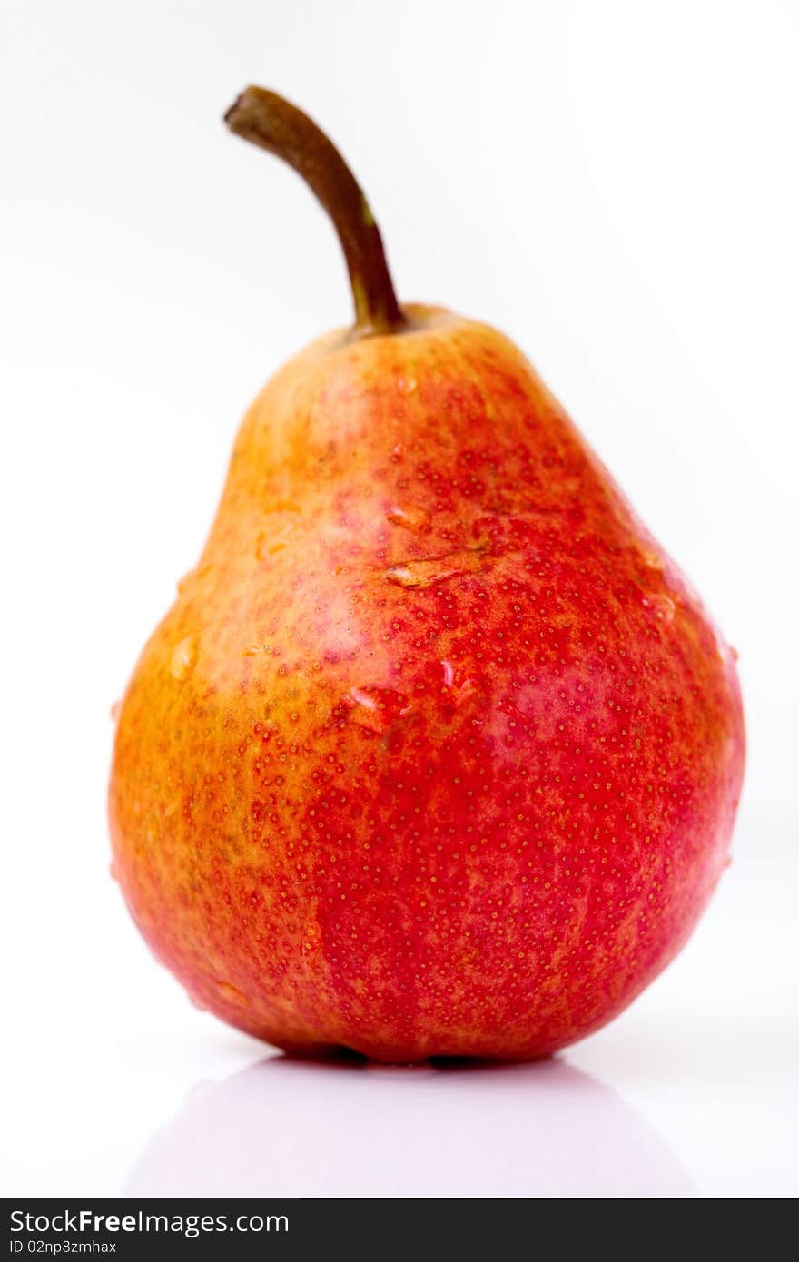 The pear on white background