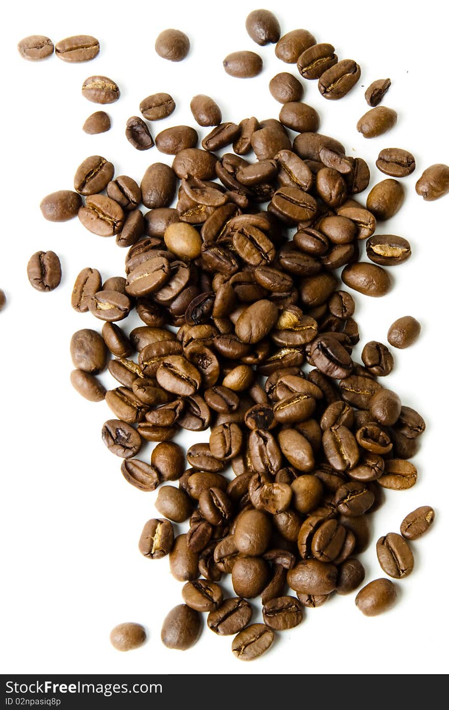 Fresh coffee beans against a white background