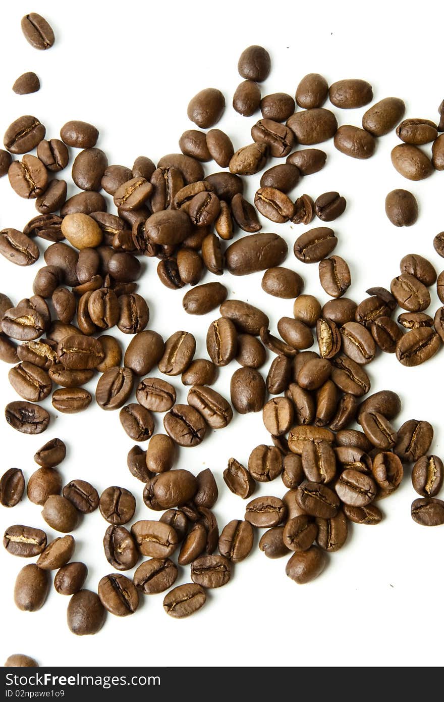 Fresh coffee beans against a white background