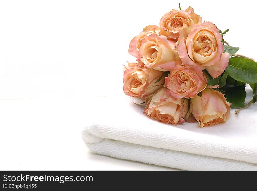 Beautiful rose laying on white towel background