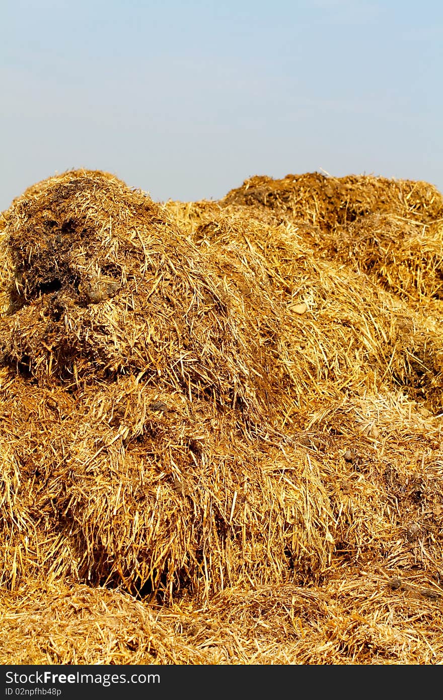 A big piled up mountain of natural fertilizers camps down in the free nature under the blue sky. A big piled up mountain of natural fertilizers camps down in the free nature under the blue sky.