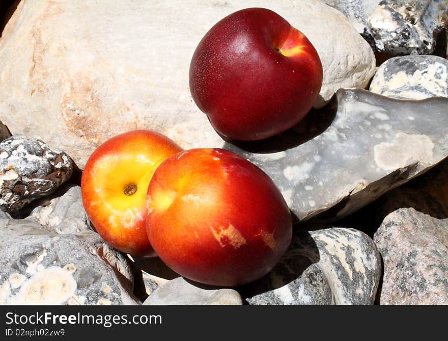 Three nectarines on the stones recumbent which come from the Baltic Sea / Germany. Three nectarines on the stones recumbent which come from the Baltic Sea / Germany.