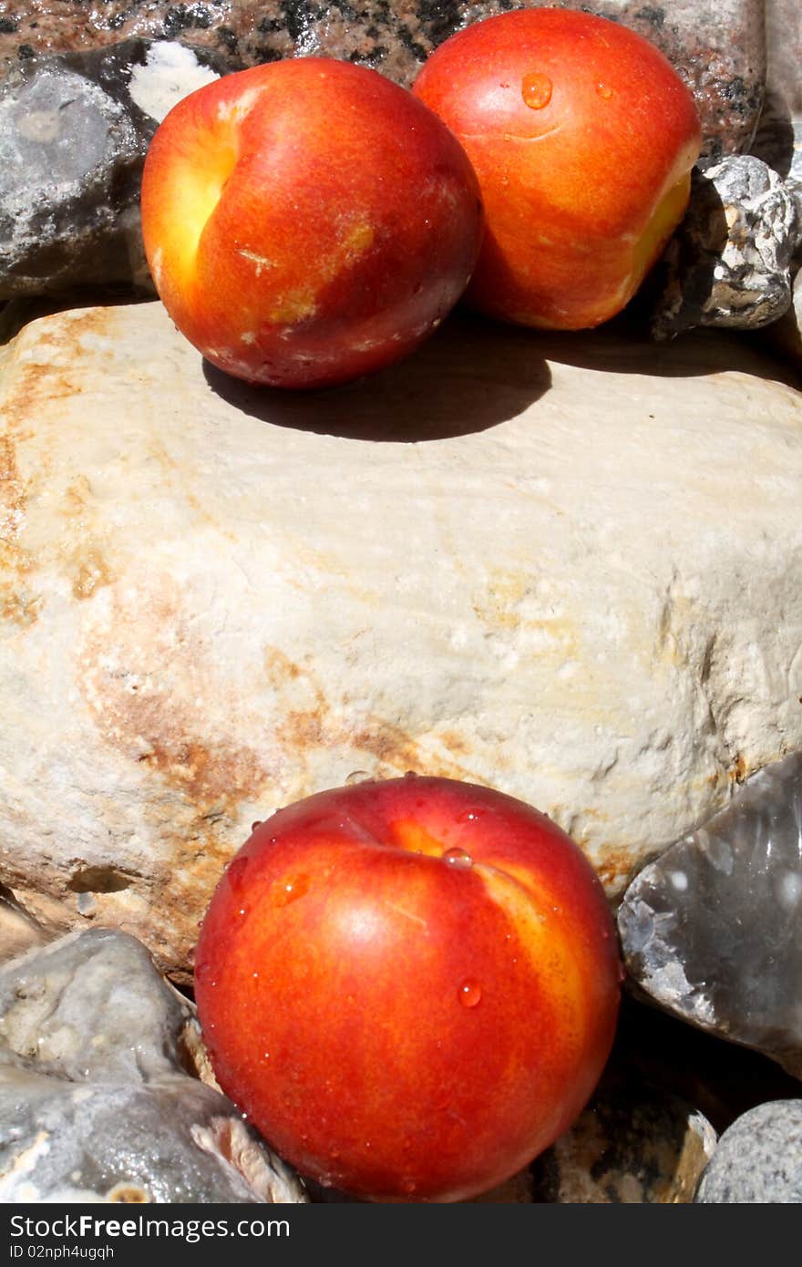 Three nectarines lie in the bulging sun on stones which come from the Baltic Sea in Germany. Three nectarines lie in the bulging sun on stones which come from the Baltic Sea in Germany.