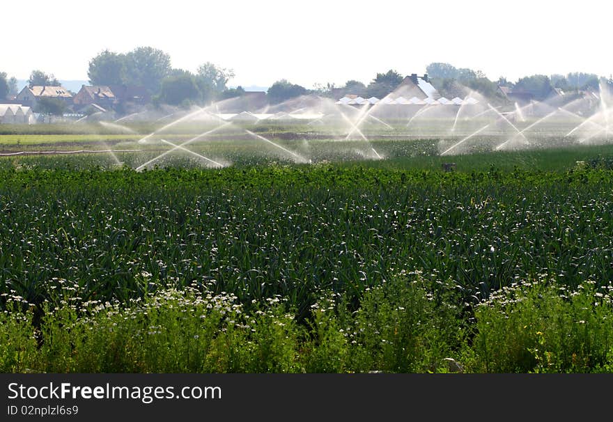 Artificial Irrigation In The Agriculture