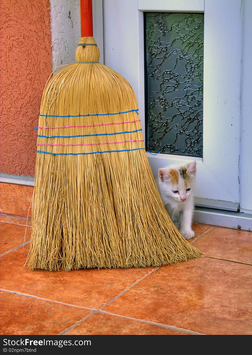 Little cat hideing behind broom.