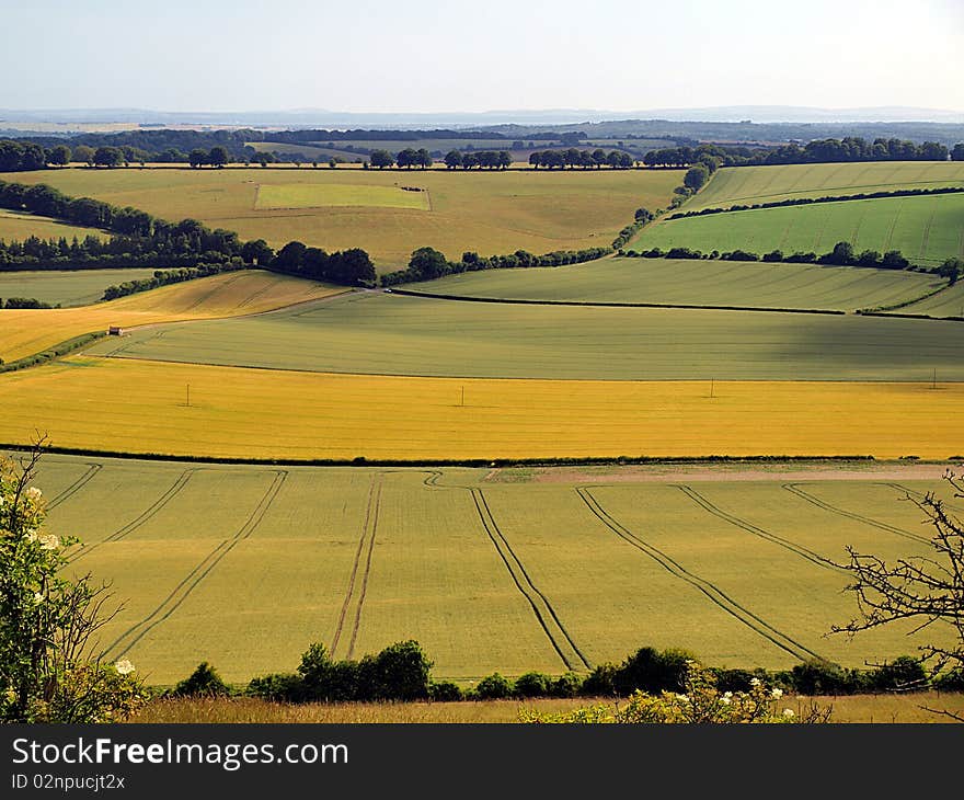 Wide angled and well lit, a field view, overlooking tracks that depict a 3D perspective. Wide angled and well lit, a field view, overlooking tracks that depict a 3D perspective.