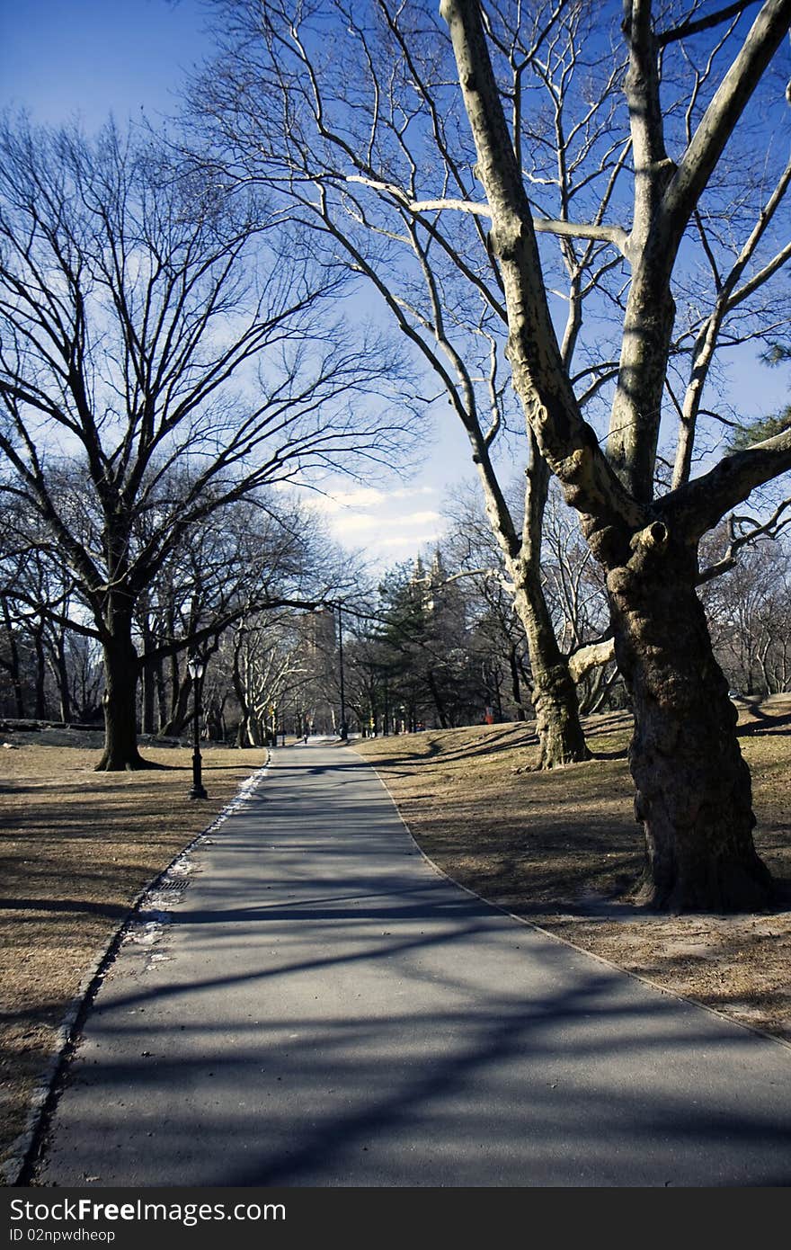 Central park alley in New York