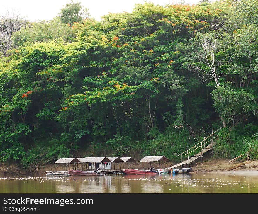 Tropical rain forest and longtail boats along River Kwai in Kanchanaburi, Thailand. Tropical rain forest and longtail boats along River Kwai in Kanchanaburi, Thailand.