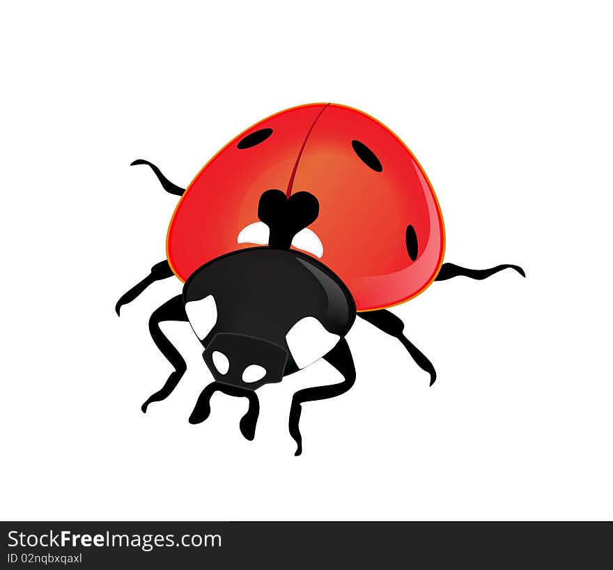 Vector ladybird on a white background