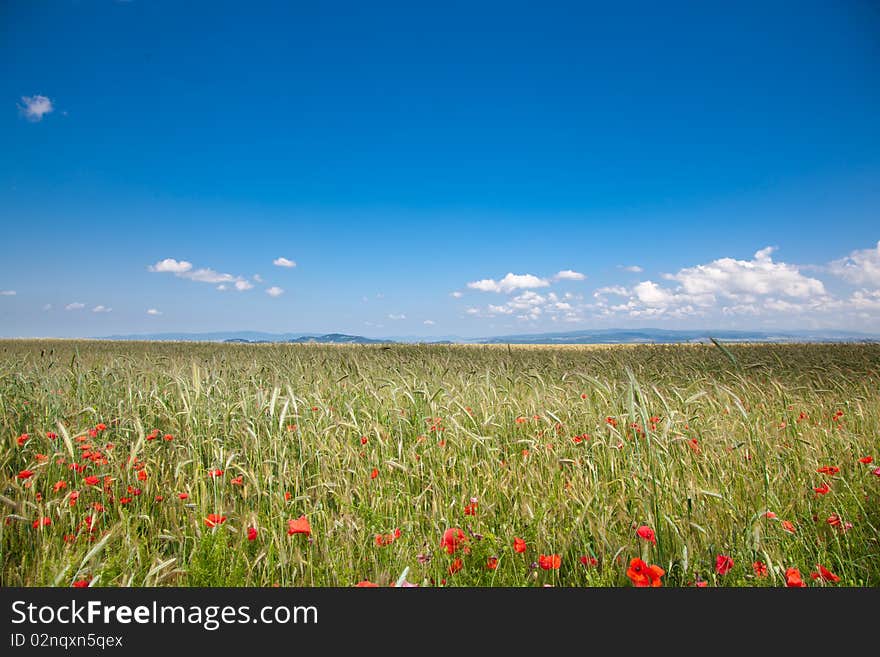 Romanian countryside