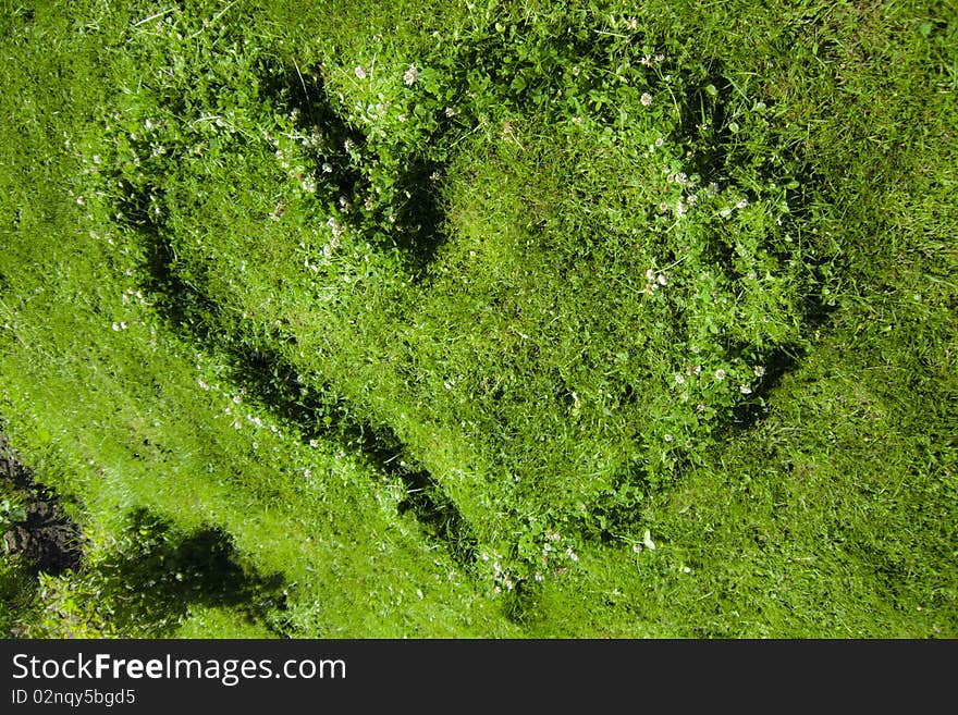 Grass Heart