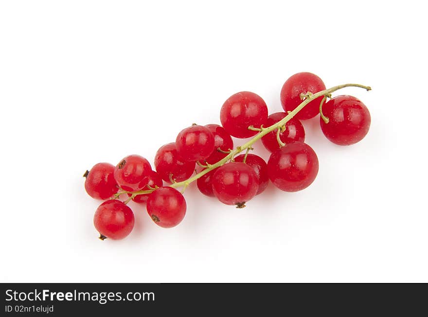 Red currant, Ribes Rubrum, isolated on white background