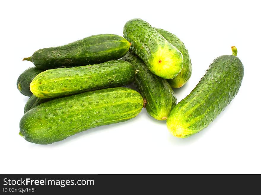 Fresh cucumbers broken from a bed lying on a white background