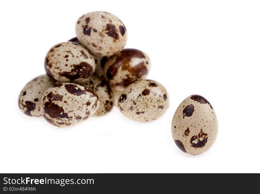 Fresh and useful quail egg