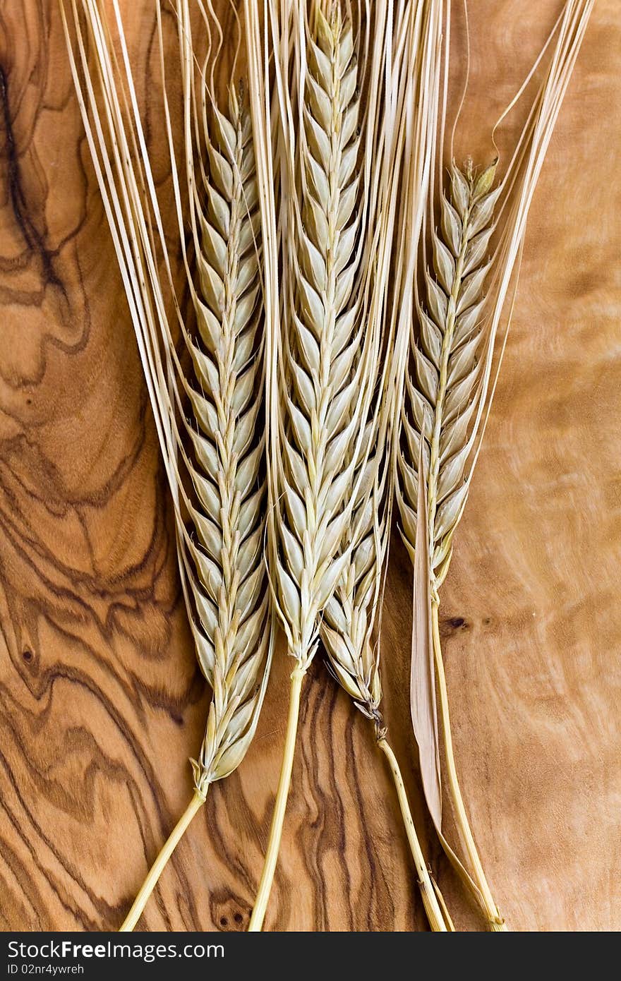 Ripe wheat ears,close up.