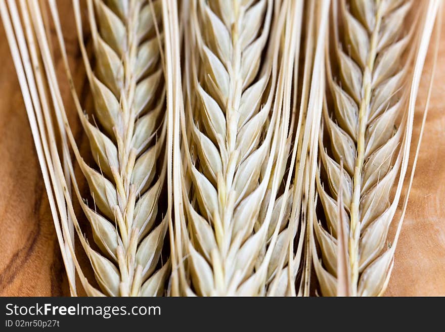 Ripe Wheat Ears,close Up