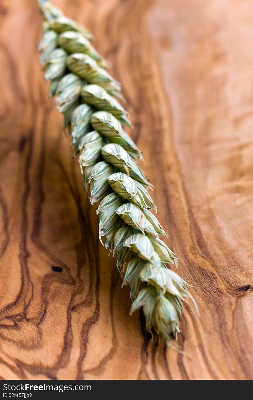 .
ripe barley ear on the wood