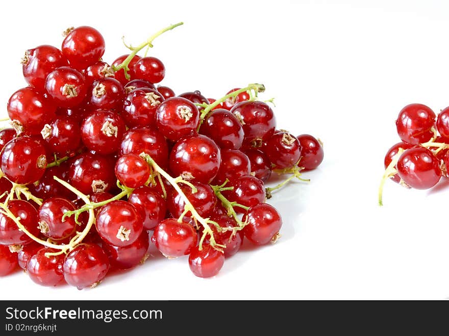 Red currants in detail on a white background