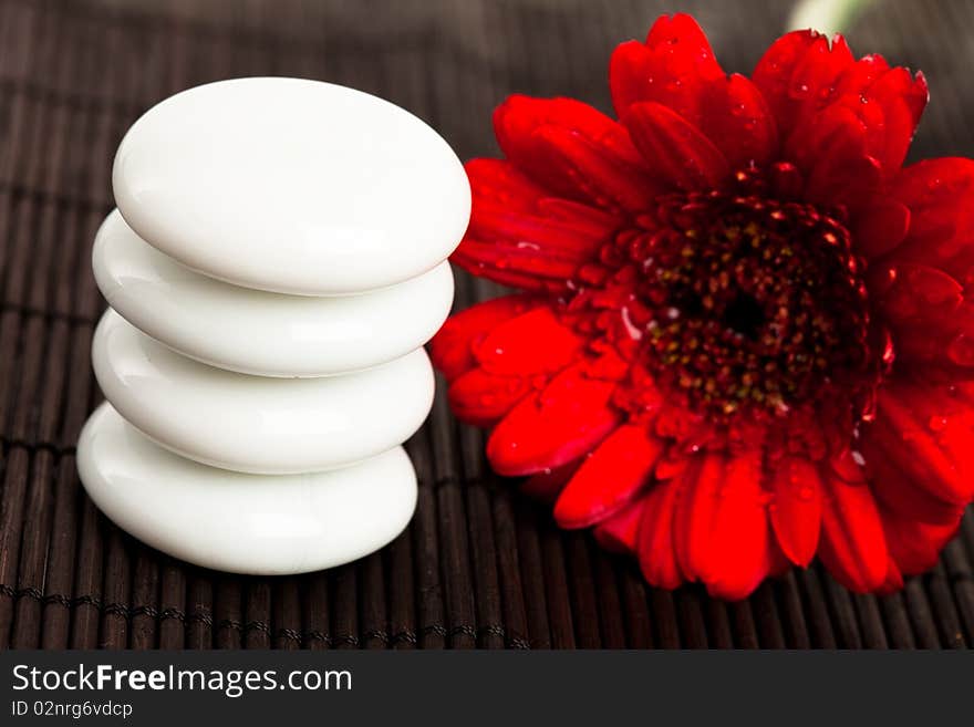 Spa essentials (stones with flower)