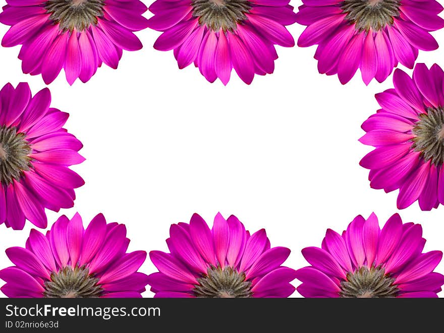 Frame of pink flowers