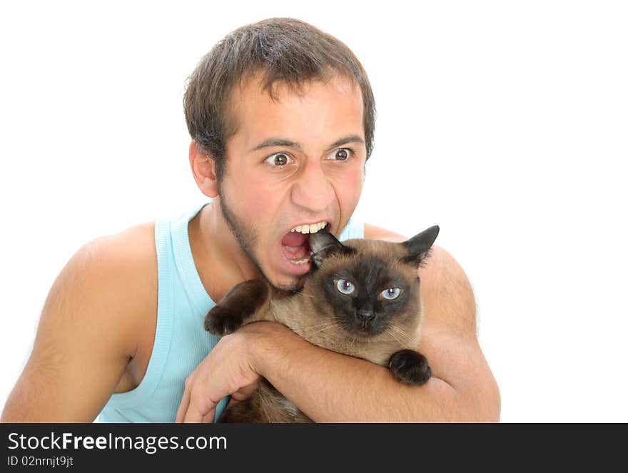 Man bites for ear of cat isolated in white