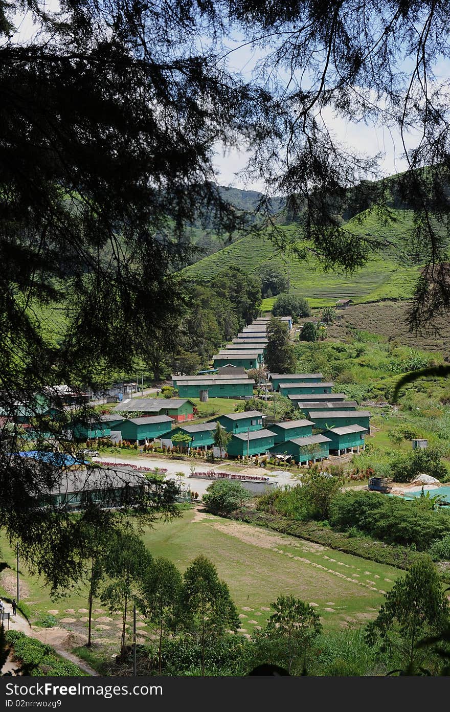 Country home in Cameron Highland