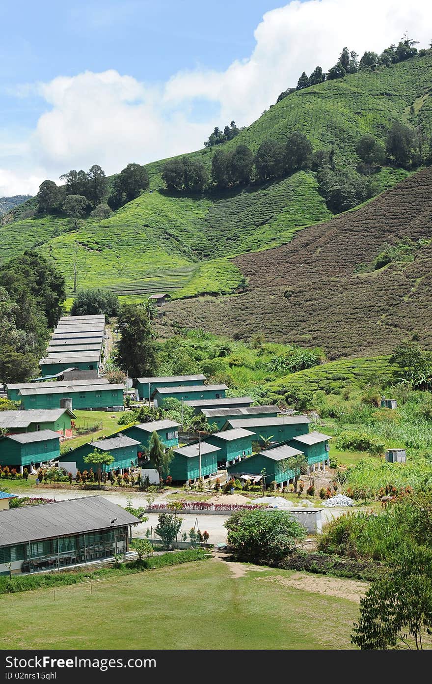 Country home in Cameron Highland