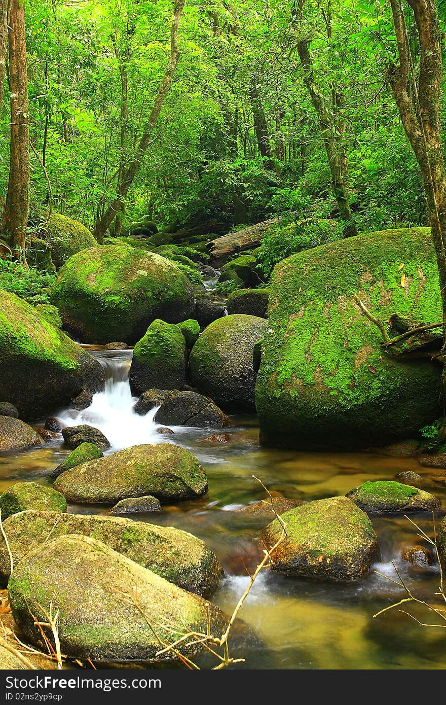 Waterfall in forest of Thailand