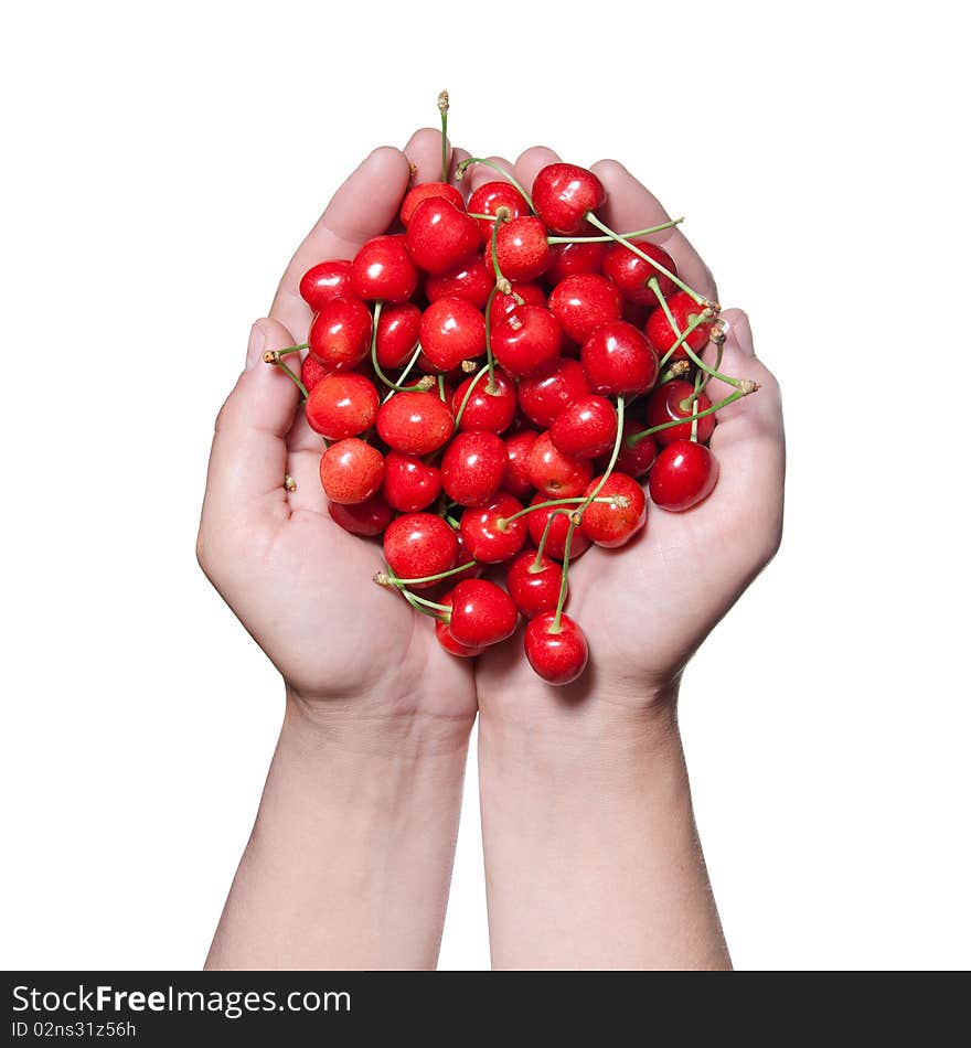 Hands holding red cherry isolated on white background