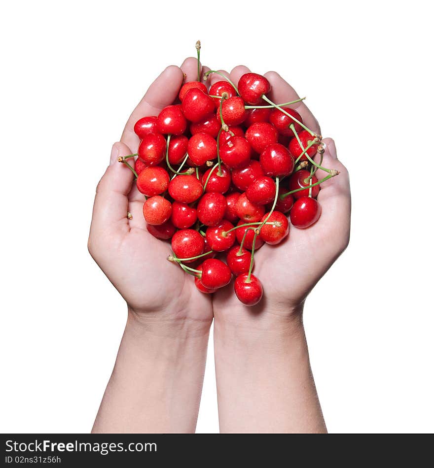 Hands holding red cherry isolated on white