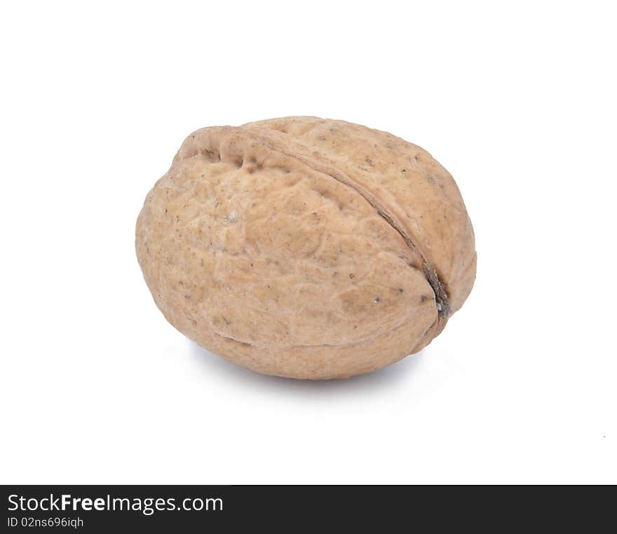 Walnut