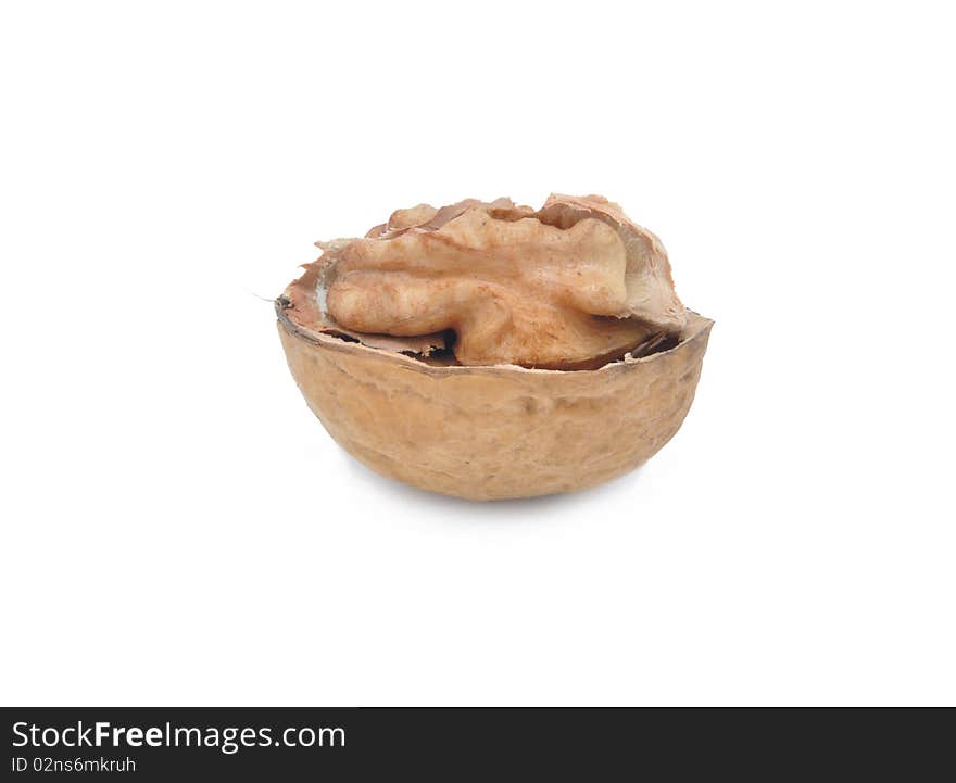 Picture of walnut on a white background