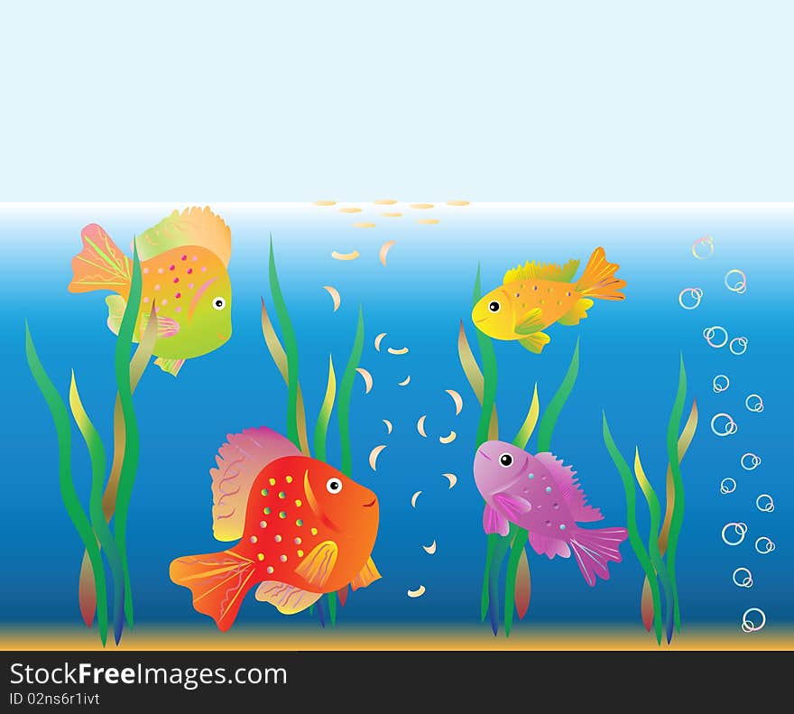 Aquarian small fishes are fed. Vector illustration.