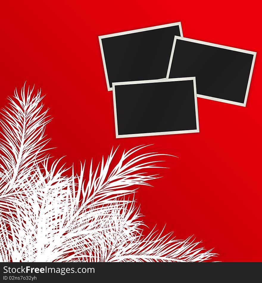 Photos against pine branches. Vector illustration